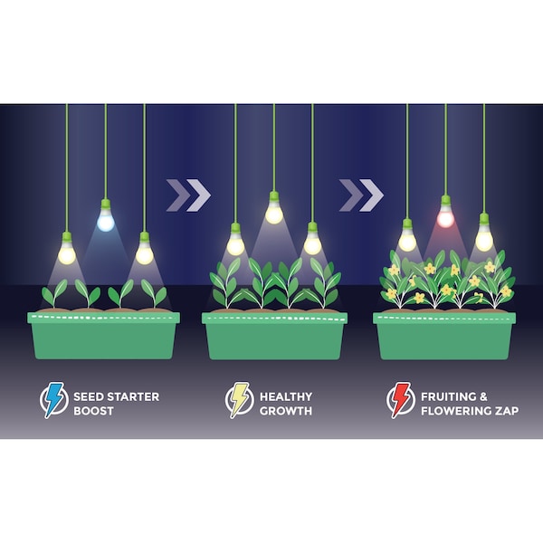 3-Socket Seed To Flower LED  Grow Light Kit 6PK